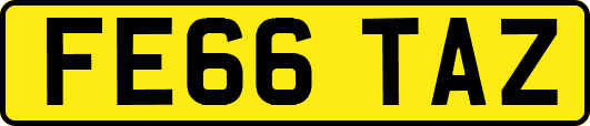 FE66TAZ