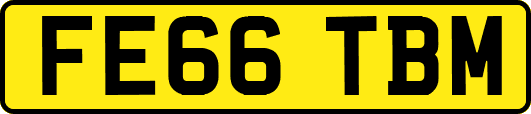 FE66TBM