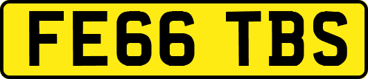 FE66TBS