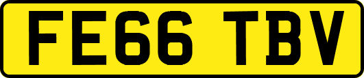FE66TBV