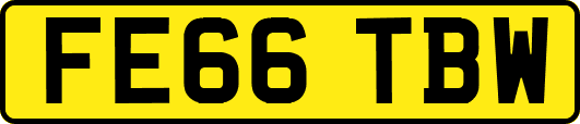 FE66TBW