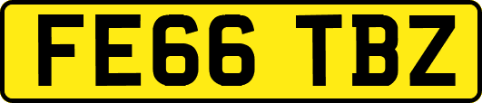 FE66TBZ