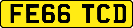 FE66TCD