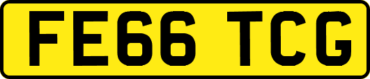 FE66TCG