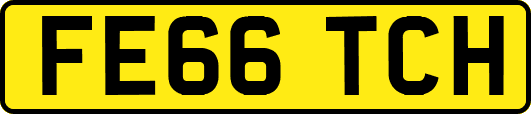 FE66TCH