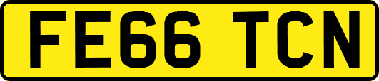 FE66TCN