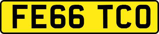 FE66TCO