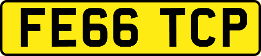 FE66TCP