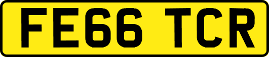 FE66TCR