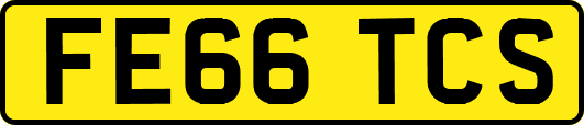 FE66TCS