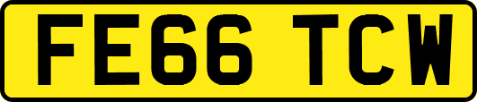 FE66TCW