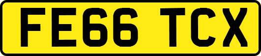 FE66TCX