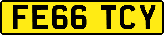 FE66TCY