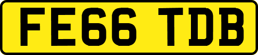 FE66TDB