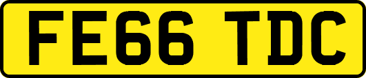 FE66TDC