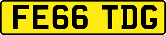 FE66TDG