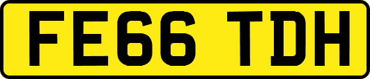 FE66TDH