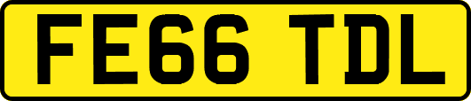 FE66TDL