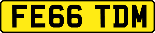 FE66TDM