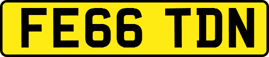 FE66TDN