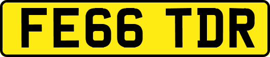 FE66TDR