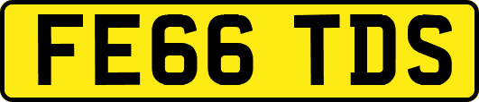 FE66TDS