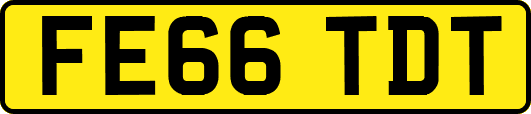 FE66TDT