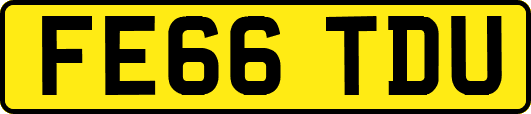 FE66TDU