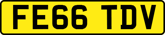 FE66TDV