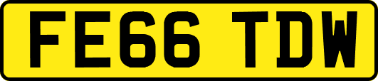 FE66TDW