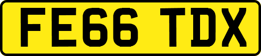 FE66TDX