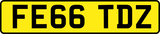 FE66TDZ