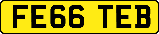 FE66TEB