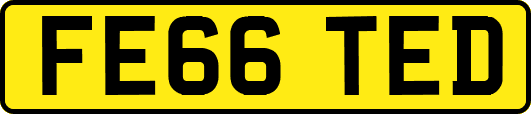 FE66TED