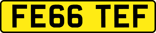 FE66TEF