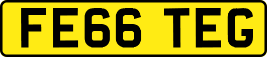FE66TEG