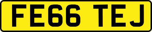 FE66TEJ