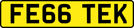 FE66TEK