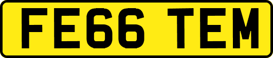 FE66TEM