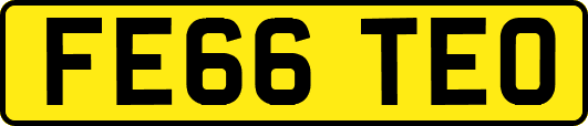 FE66TEO