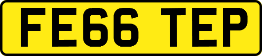 FE66TEP