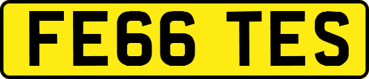 FE66TES
