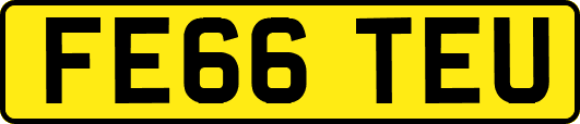 FE66TEU
