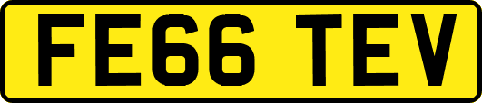FE66TEV