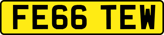 FE66TEW