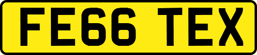 FE66TEX