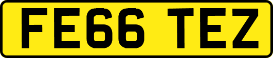 FE66TEZ