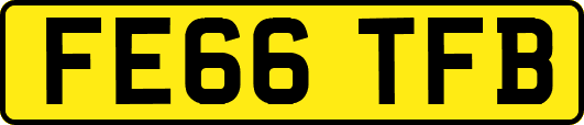 FE66TFB