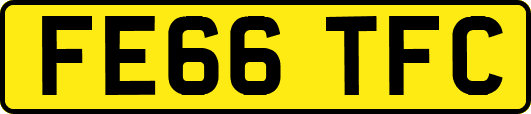 FE66TFC