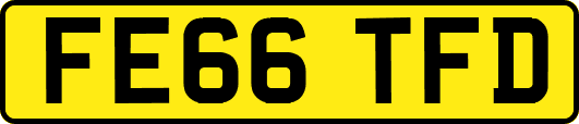 FE66TFD